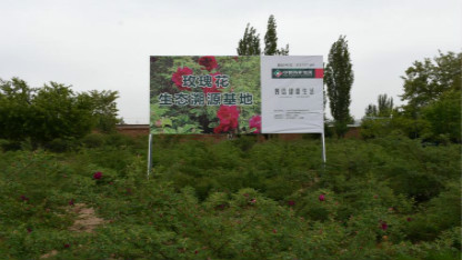 久负盛名的甘肃兰州永登县的